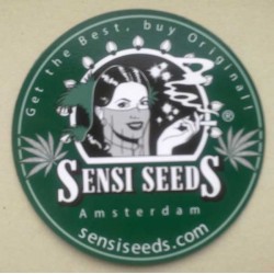 Magnet Sensi seeds rund