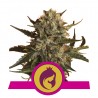 Mother Gorilla 5 stk
