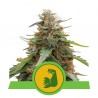 Hulkberry Auto 5 stk.